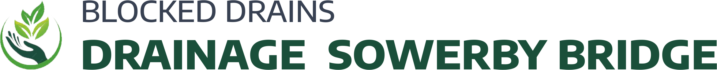website logo